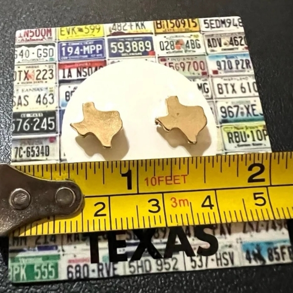 Texas State Earrings - Picture 2 of 2